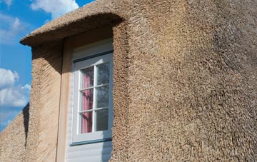Potto thatch roof disadvantages